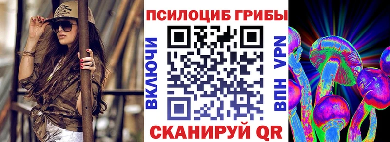 Псилоцибиновые грибы Cubensis  Батайск 