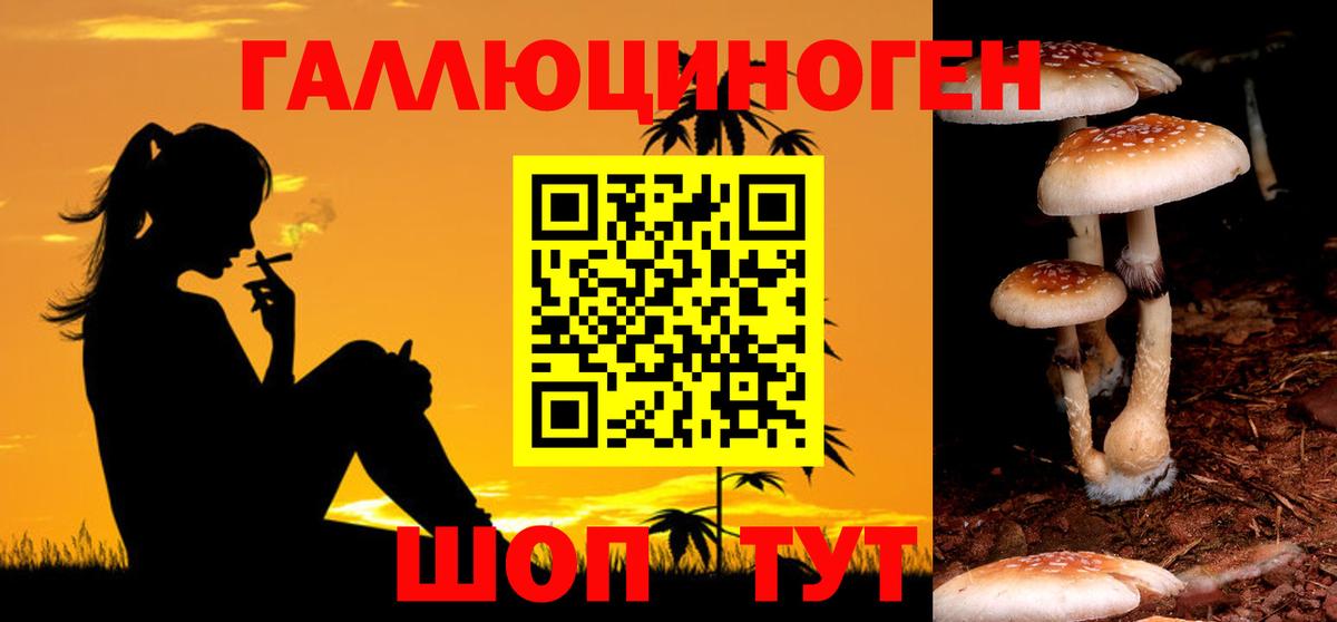 Псилоцибиновые грибы мухоморы Батайск