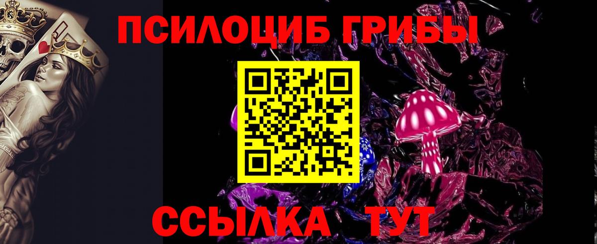 как найти закладки  Батайск  Псилоцибиновые грибы GOLDEN TEACHER  Псилоцибиновые грибы Psilocybine cubensis 